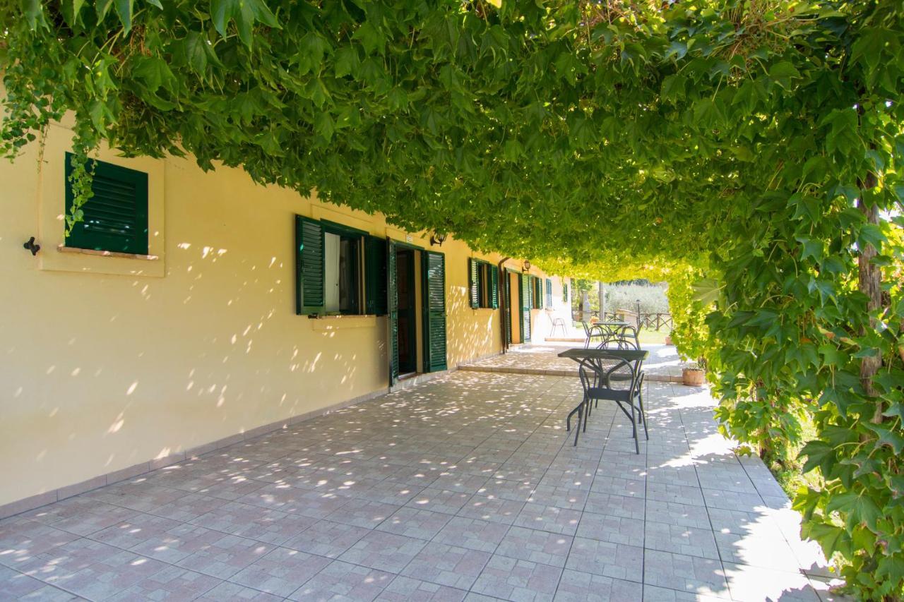 Agriturismo La Montagnola Torgiano Exterior foto